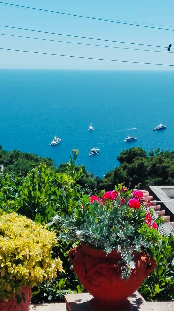Capri Sea View Villa Экстерьер фото