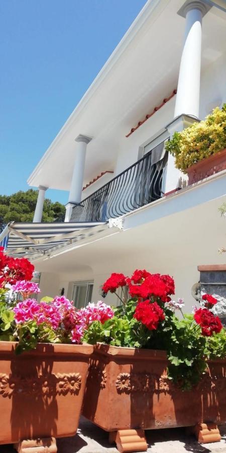 Capri Sea View Villa Экстерьер фото
